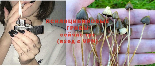 прущая мука Баксан