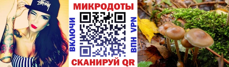 Псилоцибиновые грибы Cubensis  Короча 
